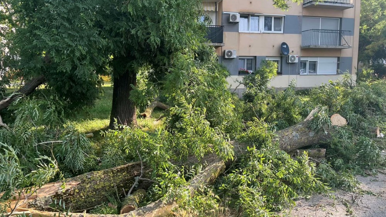 Jako nevrijeme pogodilo Istru: sedmero ozlijeđenih, najviše štete u Rovinju