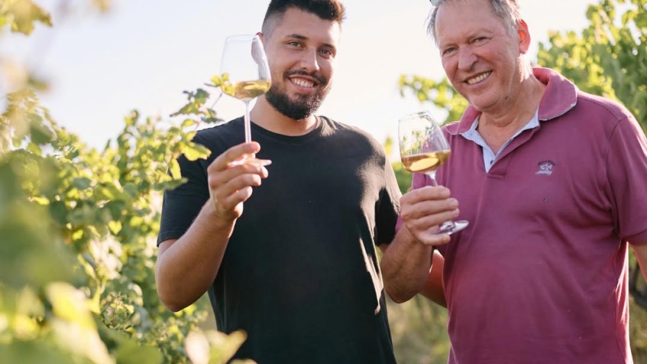 Istarsko vino osvojilo zlato i oduševilo 245 svjetskih stručnjaka