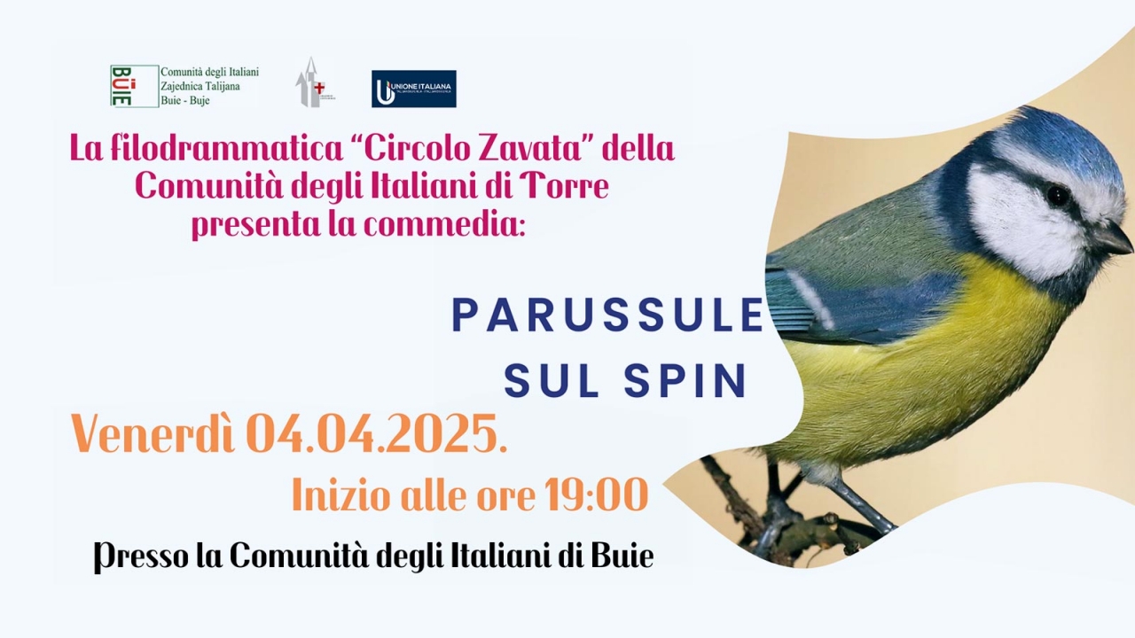 Predstava “Parussule sul spin” u Bujama