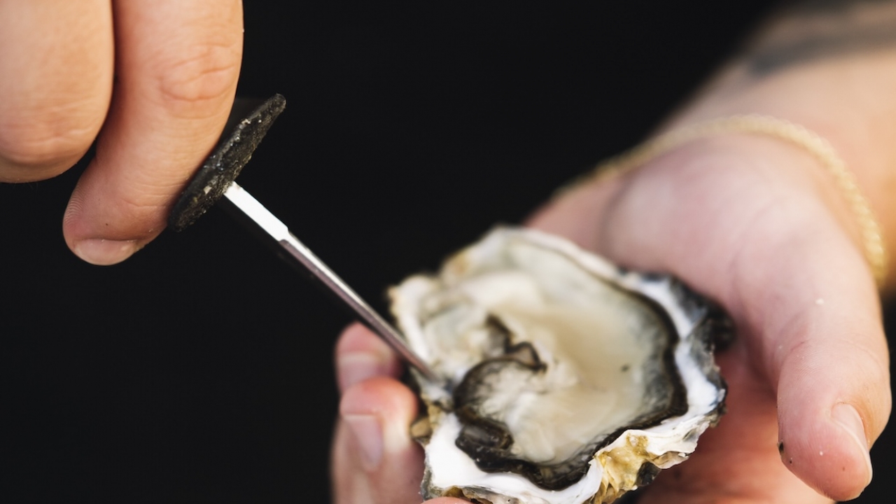Hook & Cook slavi 10 godina: četiri lokacije, četiri chefa i ljeto u znaku gastronomije i glazbe