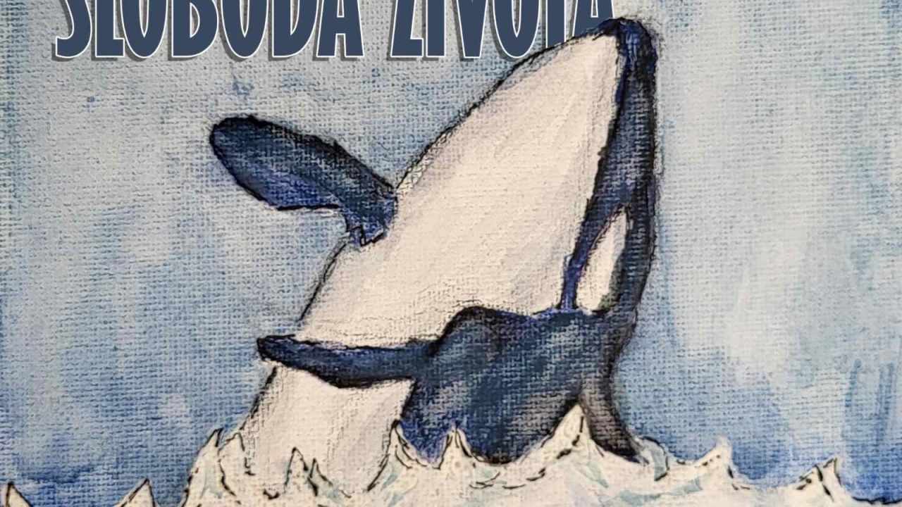 Otvorenje izložbe “Sloboda života” iduće srijede u Bujama