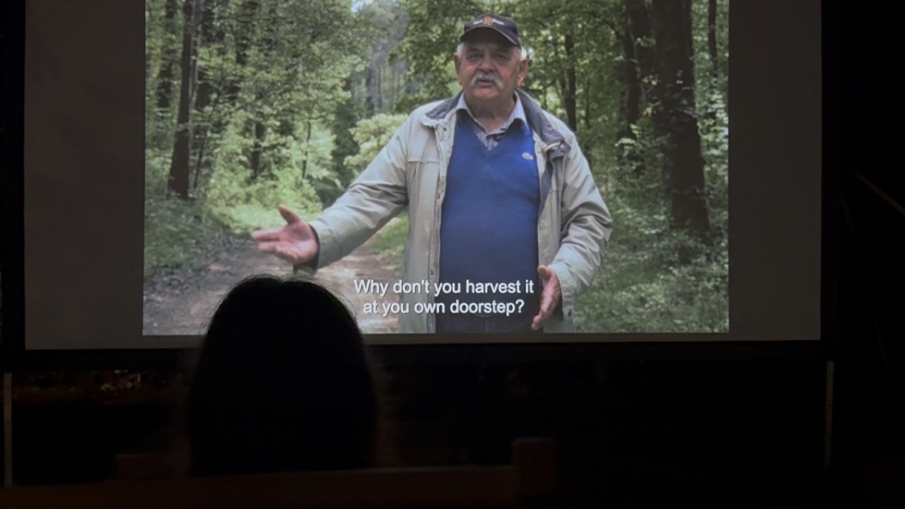Večer istarskog filma u Brtonigli pokazala svu raznolikost nove generacije domaćih filmaša