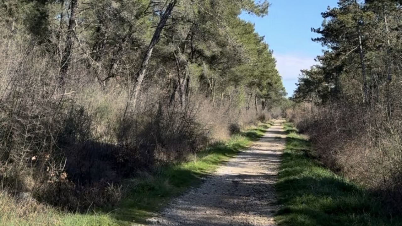 Ispunite anketu o korištenju puteva i staza na području Bujštine