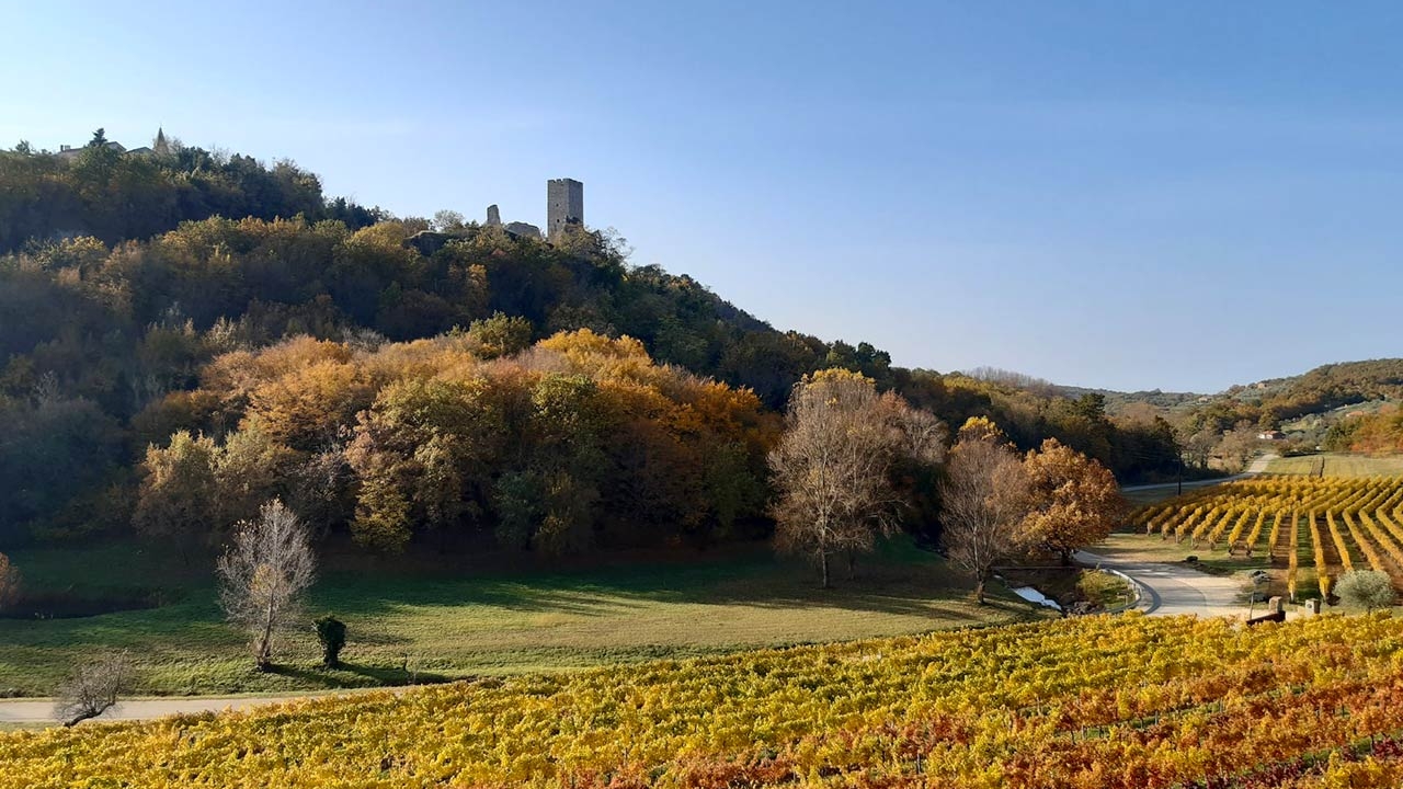 Martinje u Momjanu – provedite idući vikend uz pješačenje i bicikliranje!
