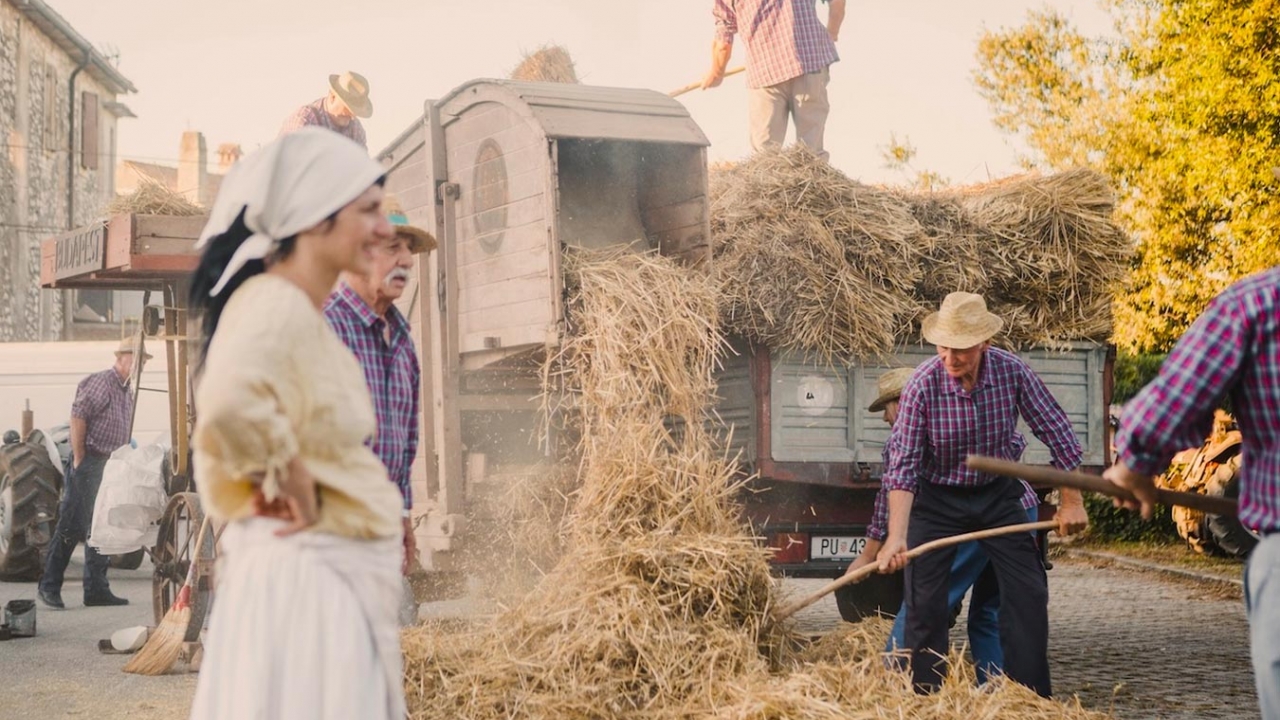 Brtonigla u Bojama tradicije: Žetvena svečanost u subotu 5. srpnja