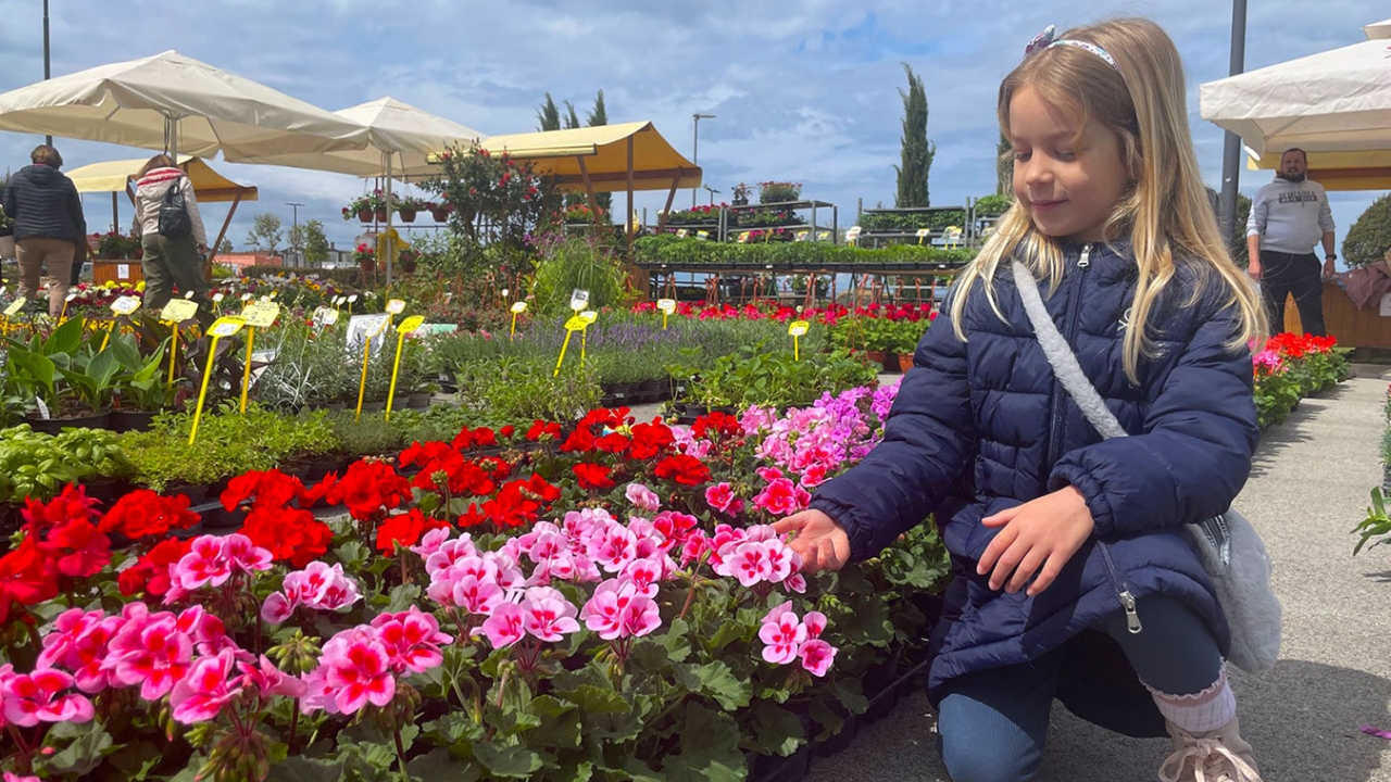 Umag Floria: Dvadeset šesto izdanje Sajma cvijeća „pred vratima“