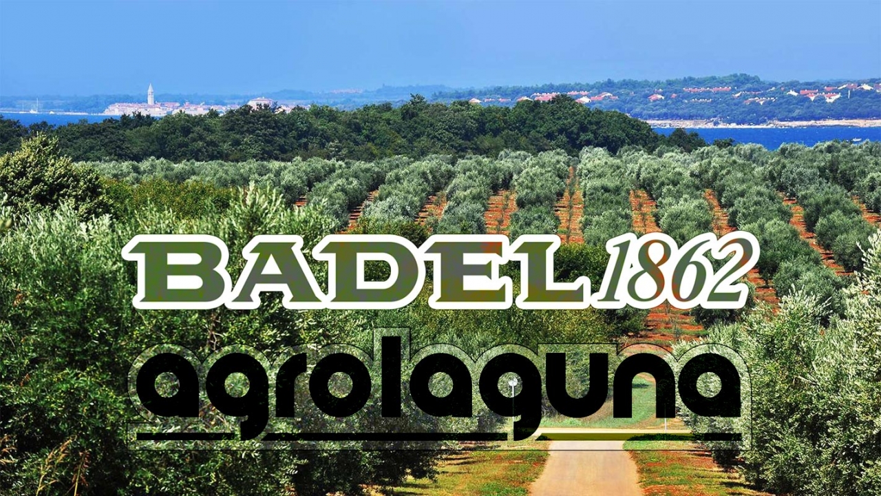 Badel preuzeo Agrolagunu i Vinariju Novigrad, jača se pozicija istarskih vina i ulja