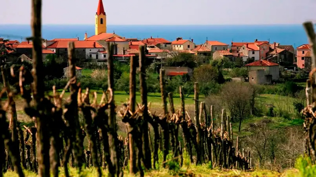 Neš Sinožić: Prostor moramo očuvati za buduće generacije