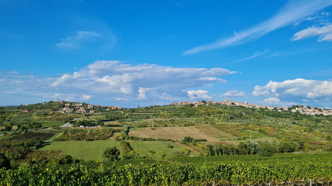 Čestitka Gradonačelnika Grada Buje-Buie