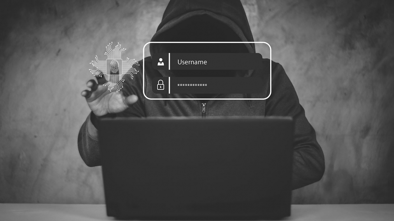 Istrijani izgubili 1,6 milijuna eura zbog internetskih prijevara