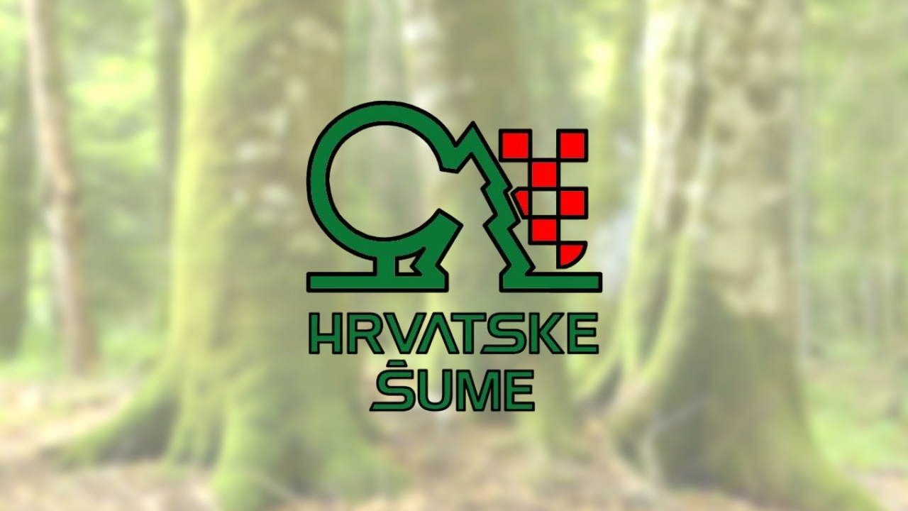 Vlada razriješila kompletnu Upravu Hrvatskih šuma
