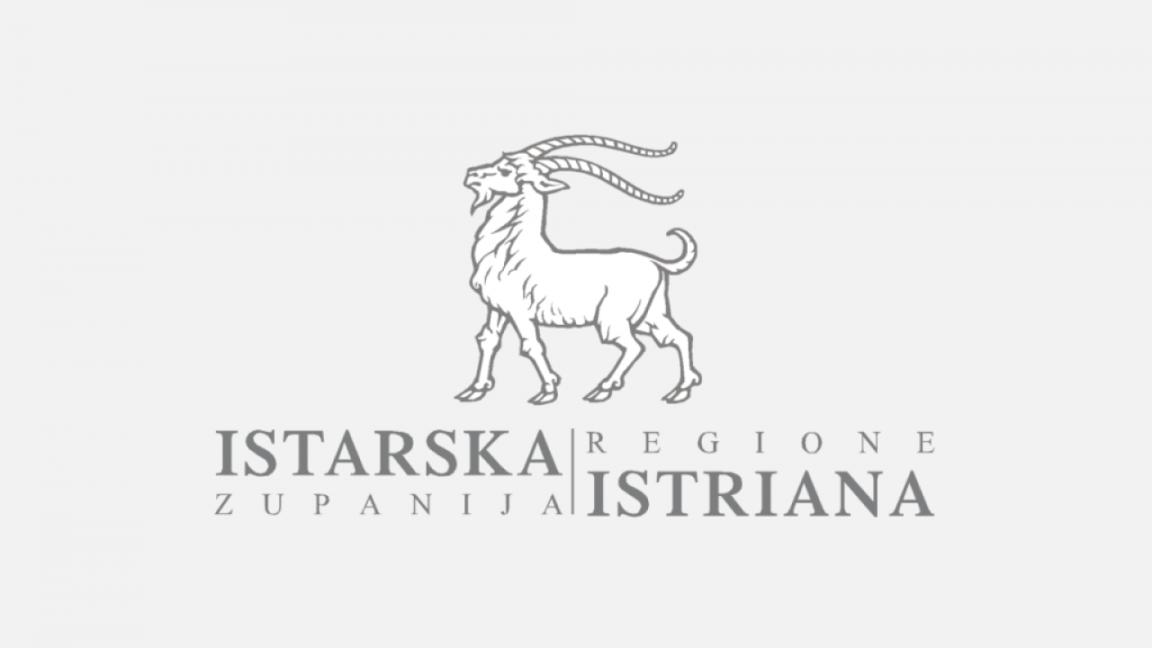 Objavljen Javni poziv IŽ za financiranje aktivnosti za mlade