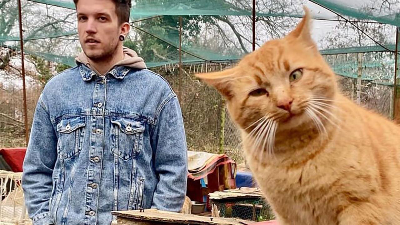 Slikovnica o Baby Lasagni i mačku Stipetu objavljena na engleskom i njemačkom jeziku