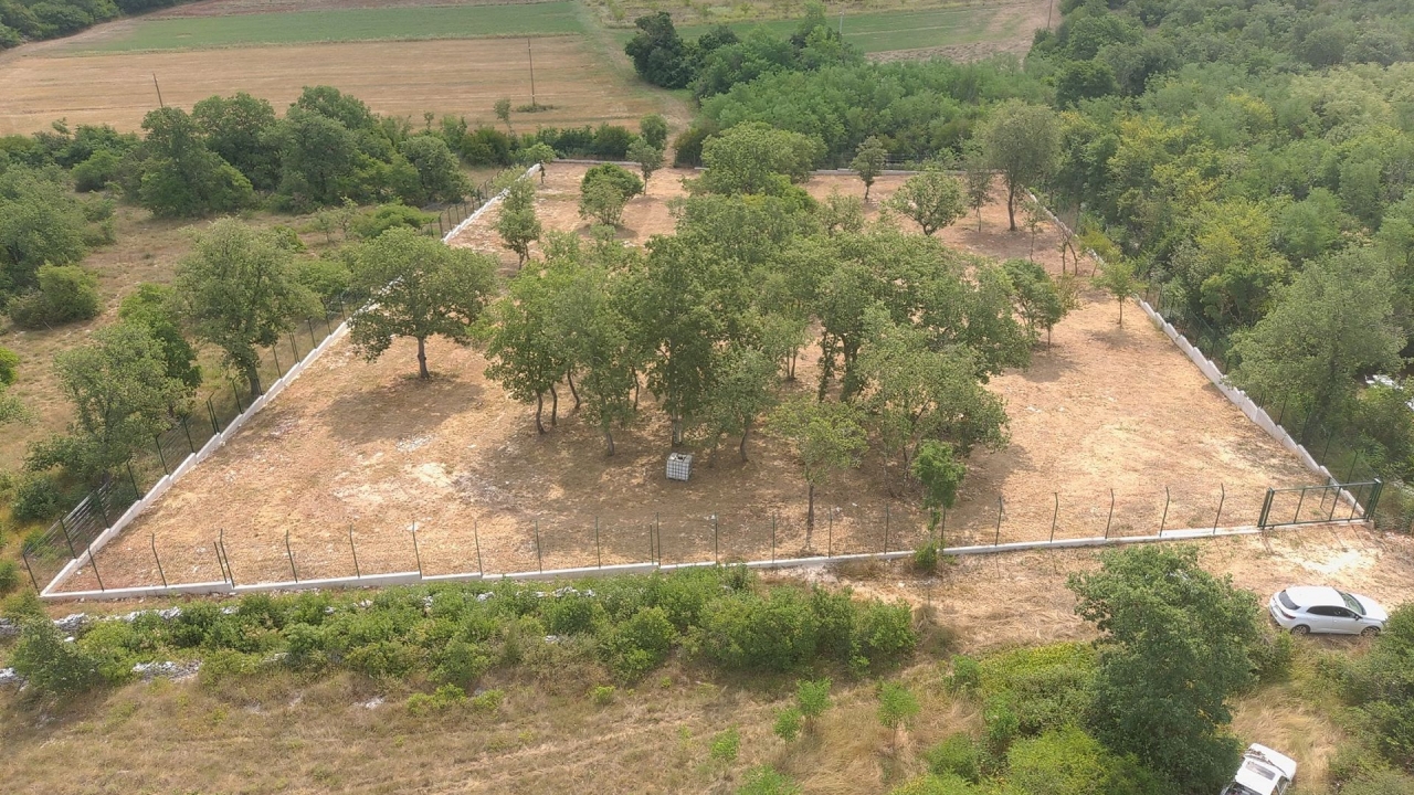 Grad Umag nastavlja s aktivnostima vezanim za realizaciju projekta skloništa za životinje