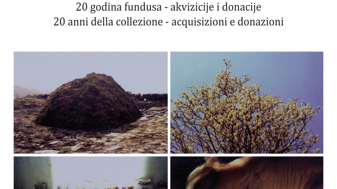 Muzej Lapidarium: NATURA CULTA – 20 godina fundusa – akvizicije i donacije