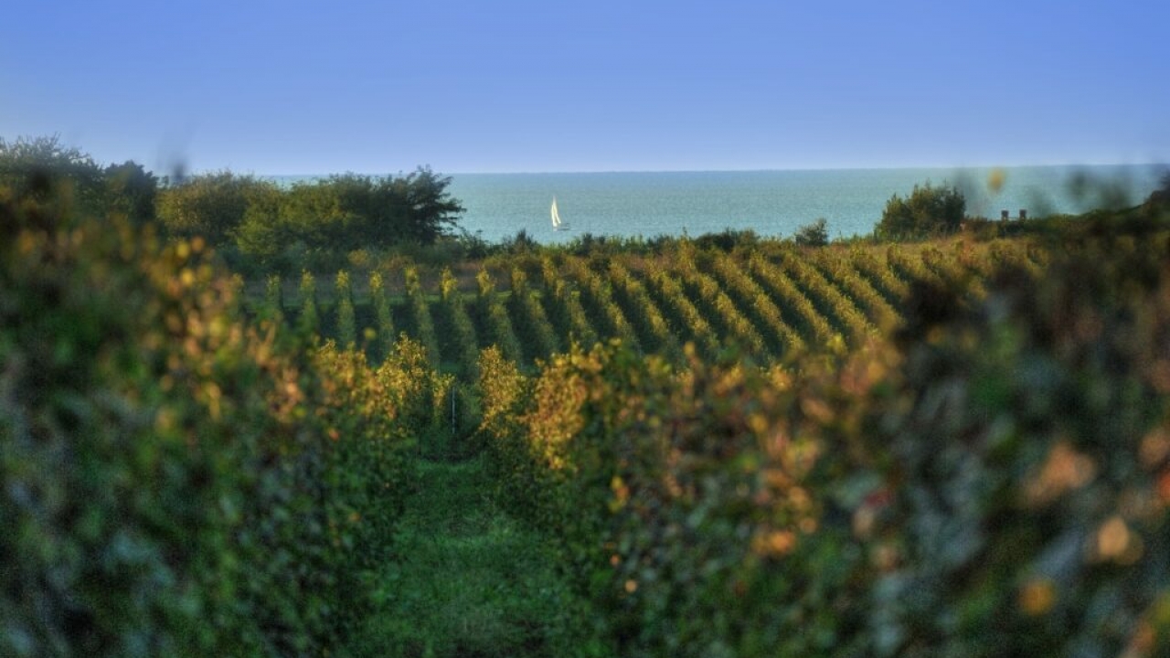 APPRRR natječaj za ulaganja u preradu poljoprivrednih proizvoda