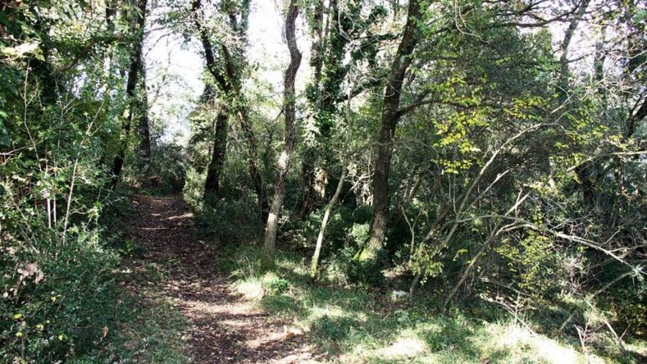 Smrtno stradao kod Grožnjana na improviziranoj biciklističkoj stazi