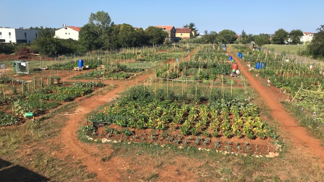 Grad Umag raspisao javni poziv za korištenje gradskih vrtova