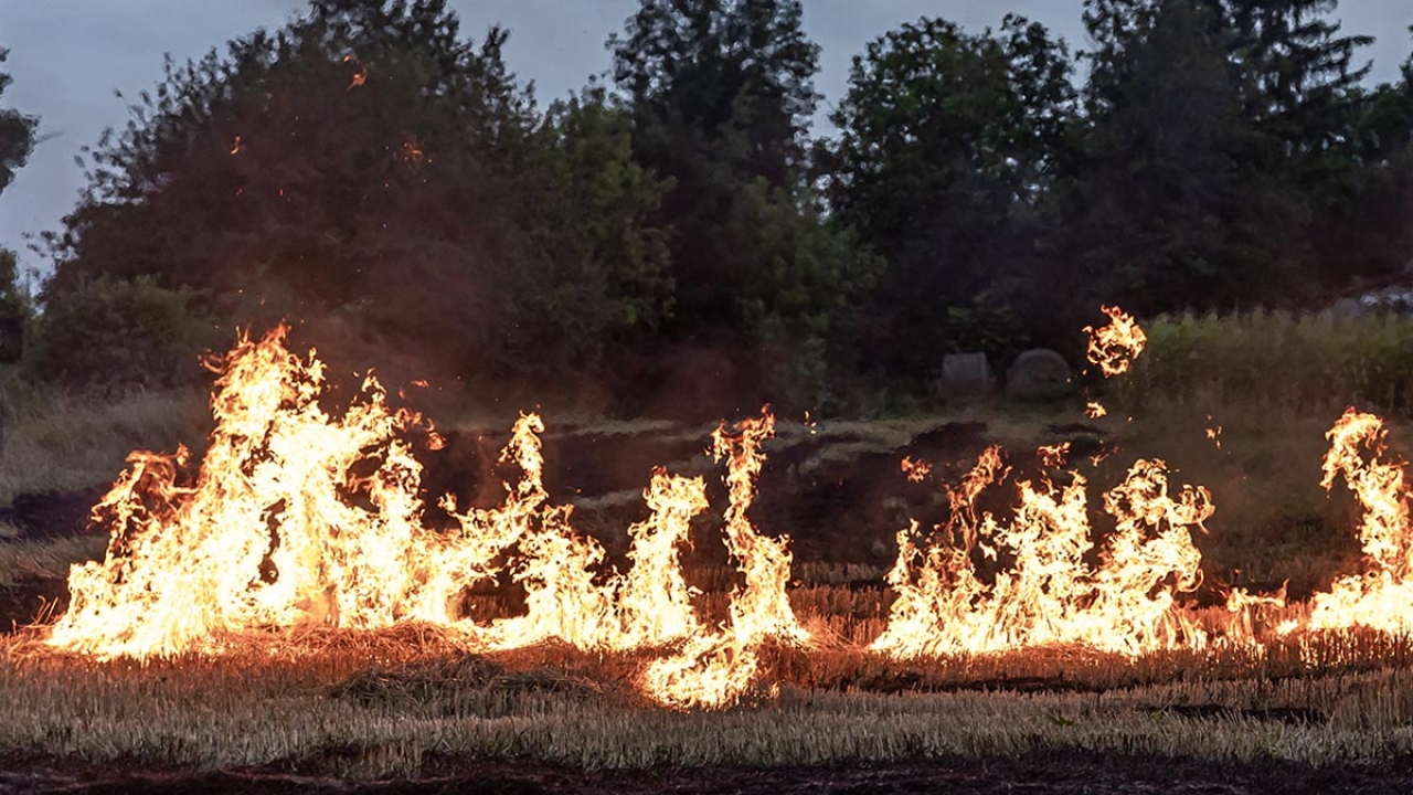 Požer otvorenog prostora u Kaštelu