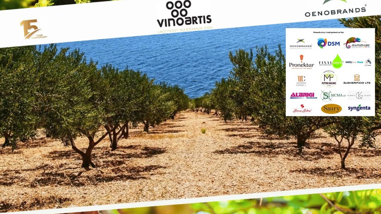 Vinoartis spremno dočekuje sezonu berbe i traži novo pojačanje