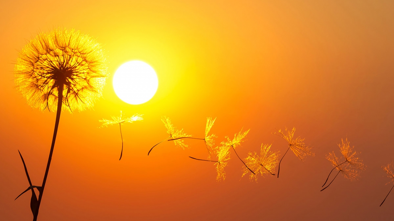 Toplinski val stiže u Istru – temperature rastu iz dana u dan