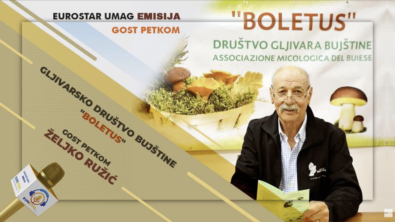 Gost petkom: Željko Ružić o sezoni gljiva, sigurnom branju i nadolazećim Danima gljiva u Brtonigli