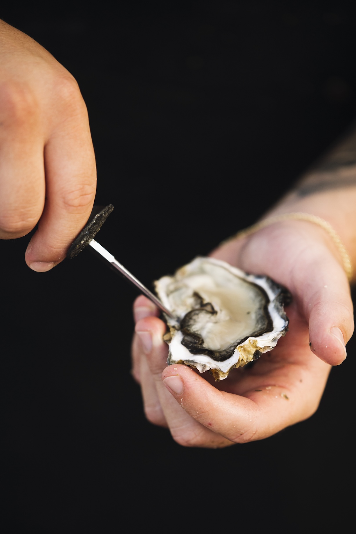 Hook & Cook slavi 10 godina: četiri lokacije, četiri chefa i ljeto u znaku gastronomije i glazbe