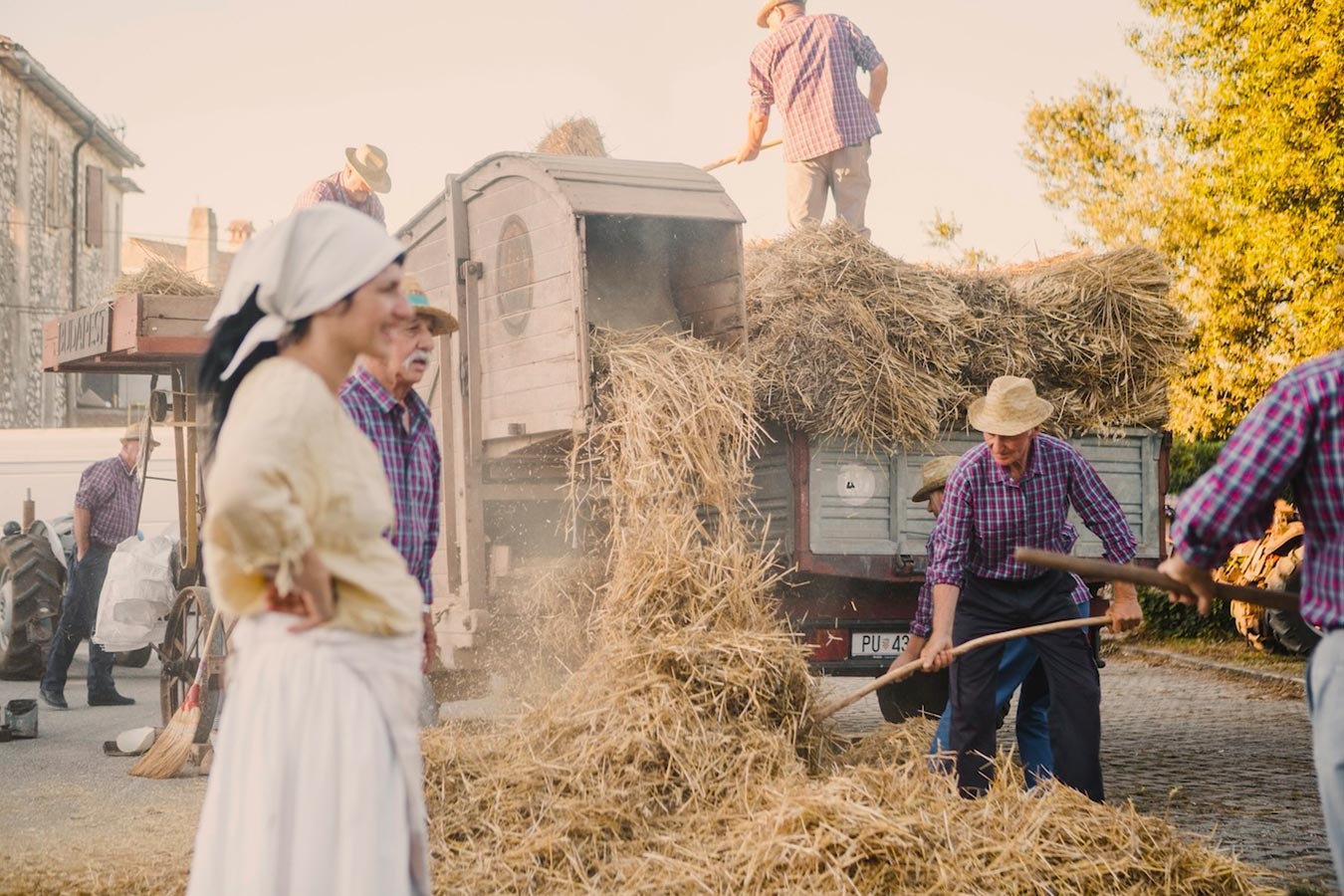 Brtonigla u Bojama tradicije: Žetvena svečanost u subotu 5. srpnja