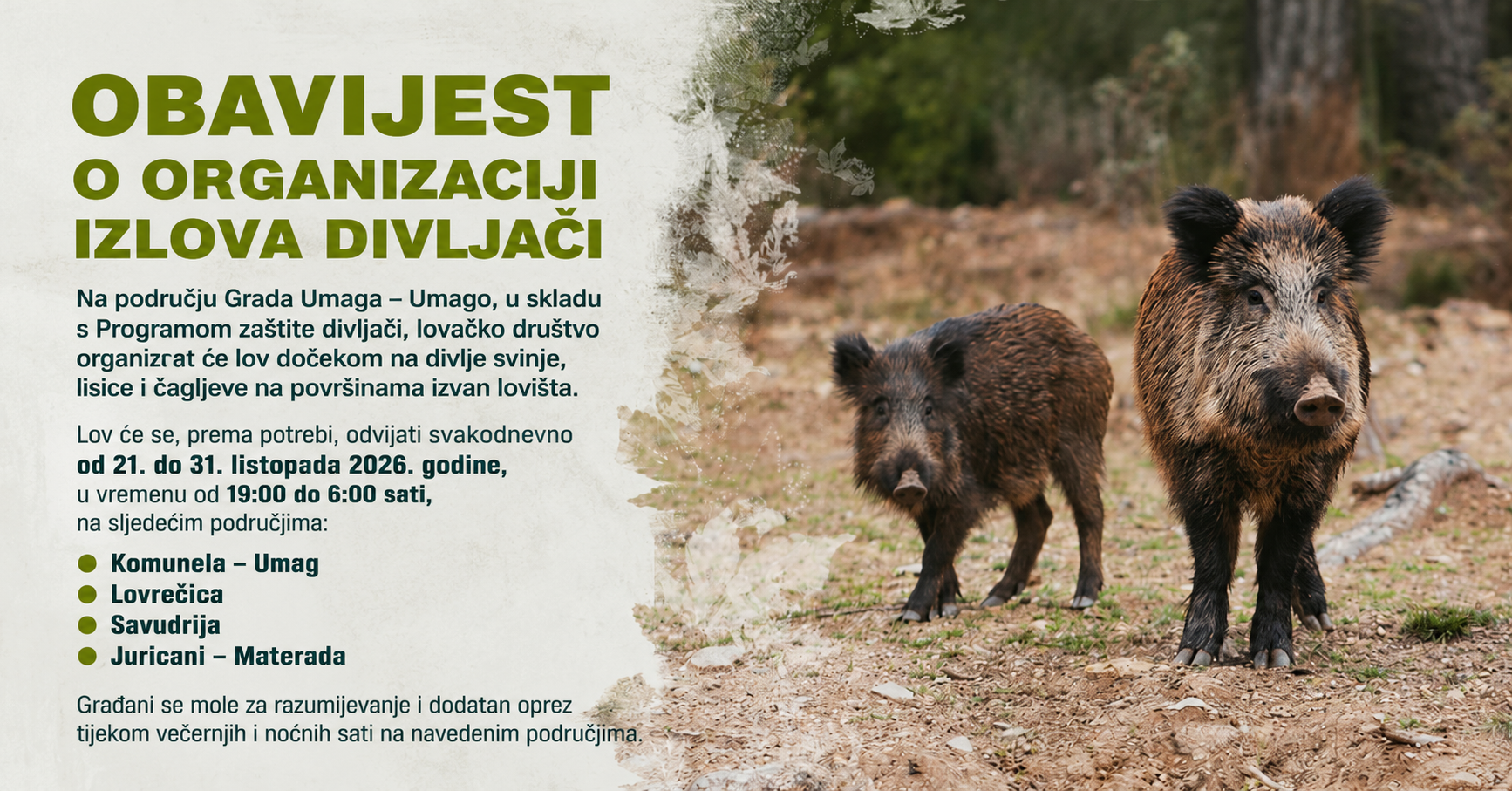 Od 21. do 31. listopada organiziran lov na divlje svinje, lisice i čagljeve na području Umaga