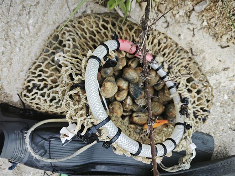 Umag - vadio školjke iz mora bez odgovarajuće dozvole