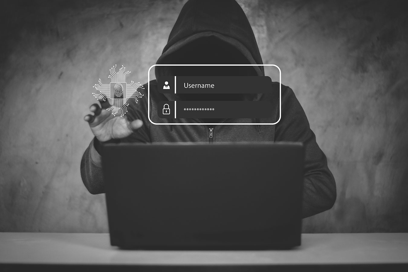 Istrijani izgubili 1,6 milijuna eura zbog internetskih prijevara
