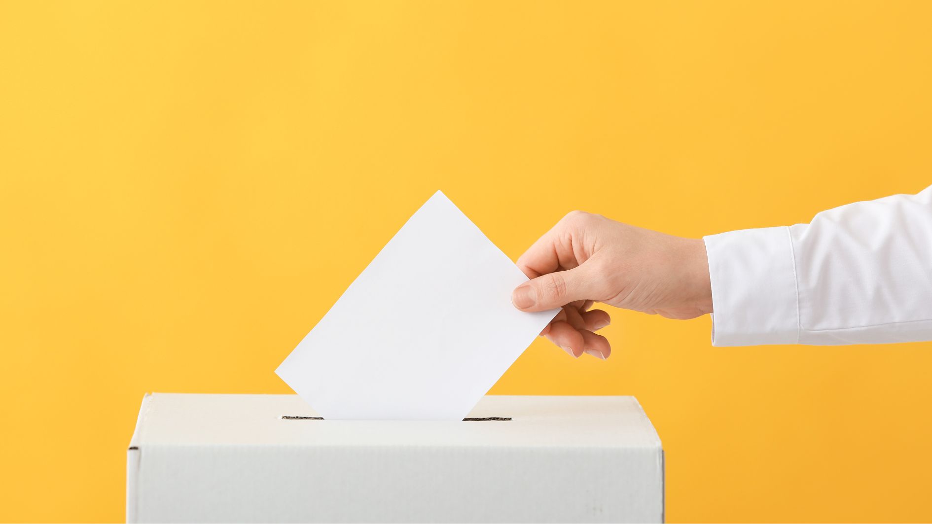 Dopunski izbori – biraju se predstavnici nacionalnih manjina u Umagu