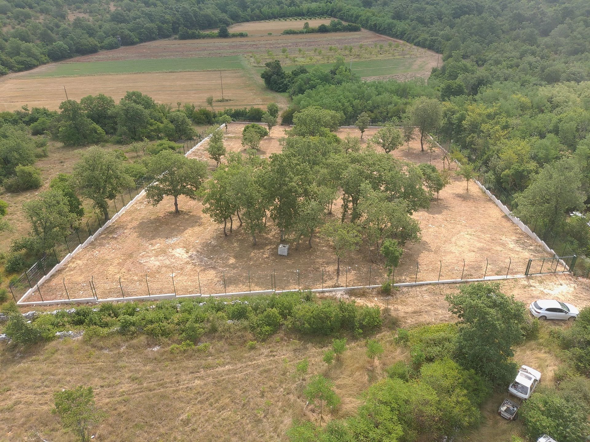 Grad Umag nastavlja s aktivnostima vezanim za realizaciju projekta skloništa za životinje