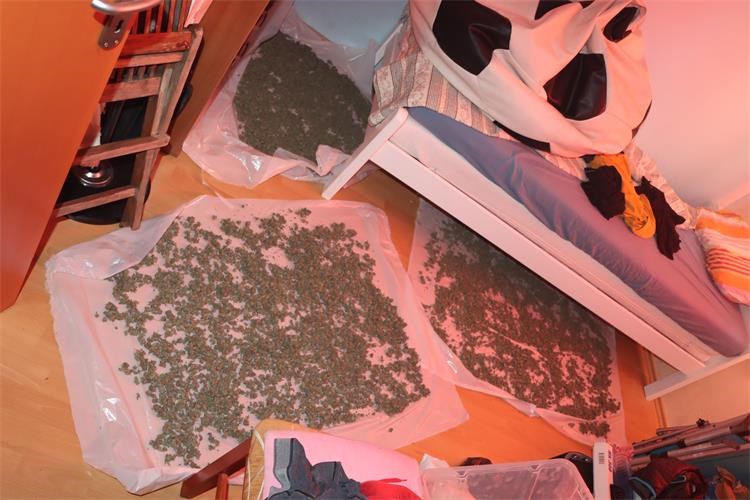 Kaštel: Kazneno prijavljen zbog proizvodnje i prometa drogama i omogućavanja trošenja droga