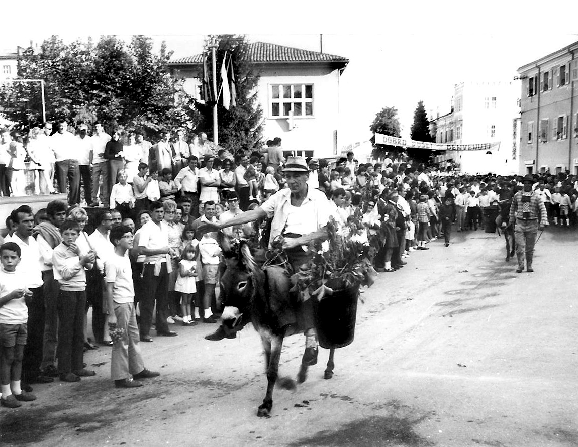 Dani grožđa 1967. - Kad su magarci, vreće i tjestenina nasmijavali Buje