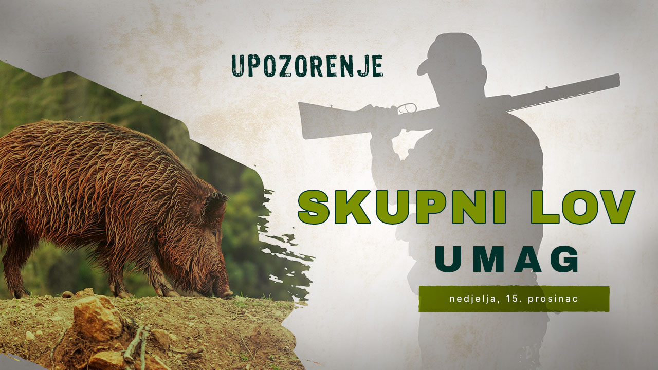 Skupni lov na području Umaga u nedjelju, 15. prosinca