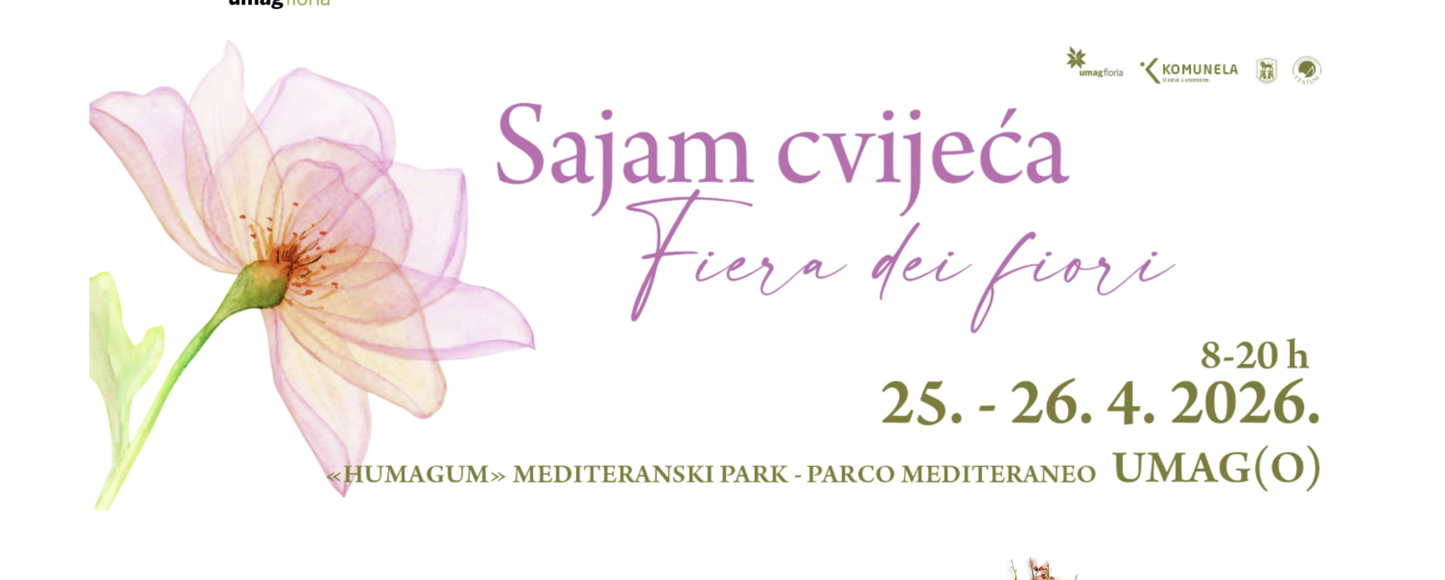 Umag danas i sutra u znaku cvijeća: počinje „Umag Floria“
