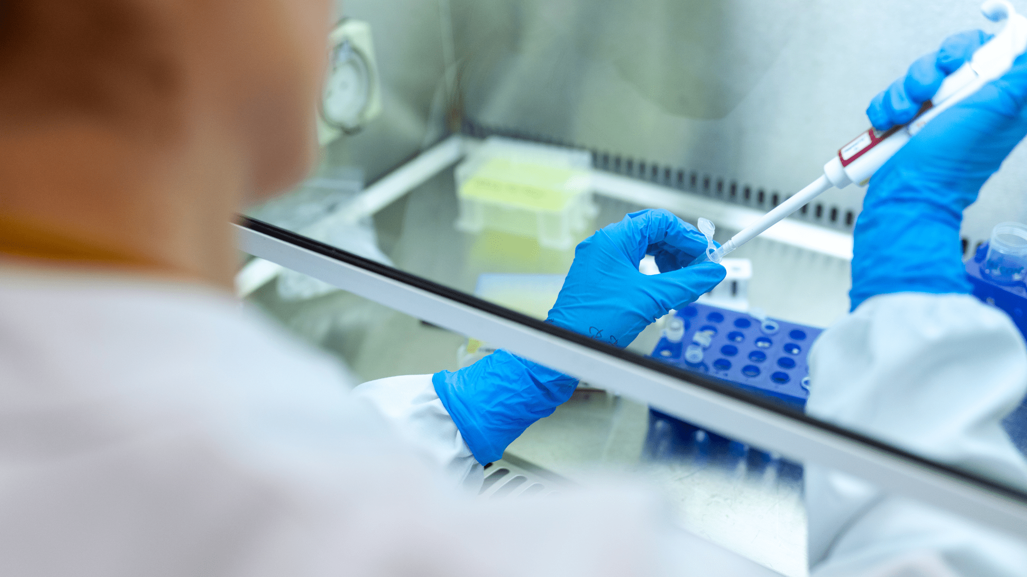 Read more about the article Nova pravila: U Hrvatsku samo s PCR testom ili brzim antigenskim