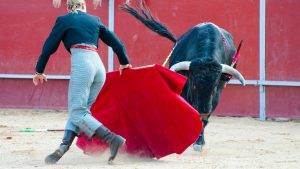 Mexico City zabranio borbe s bikovima